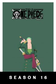 One Piece: Season 16