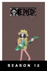 One Piece: Season 12
