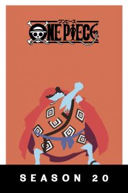 One Piece: Season 20