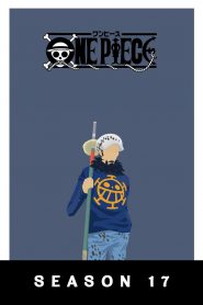 One Piece: Season 17