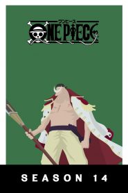 One Piece: Season 14