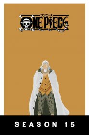 One Piece: Season 15