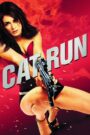 Sát Thủ Mèo Hoang – Cat Run