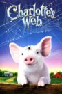 Mạng Nhện Của Charlotte – Charlotte’s Web