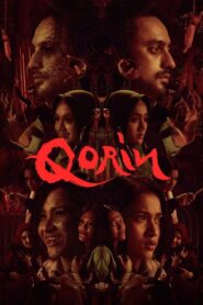 Song Trùng – Qorin