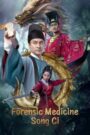 Tân Tẩy Oan Lục: Tống Từ – Song Ci (2022)